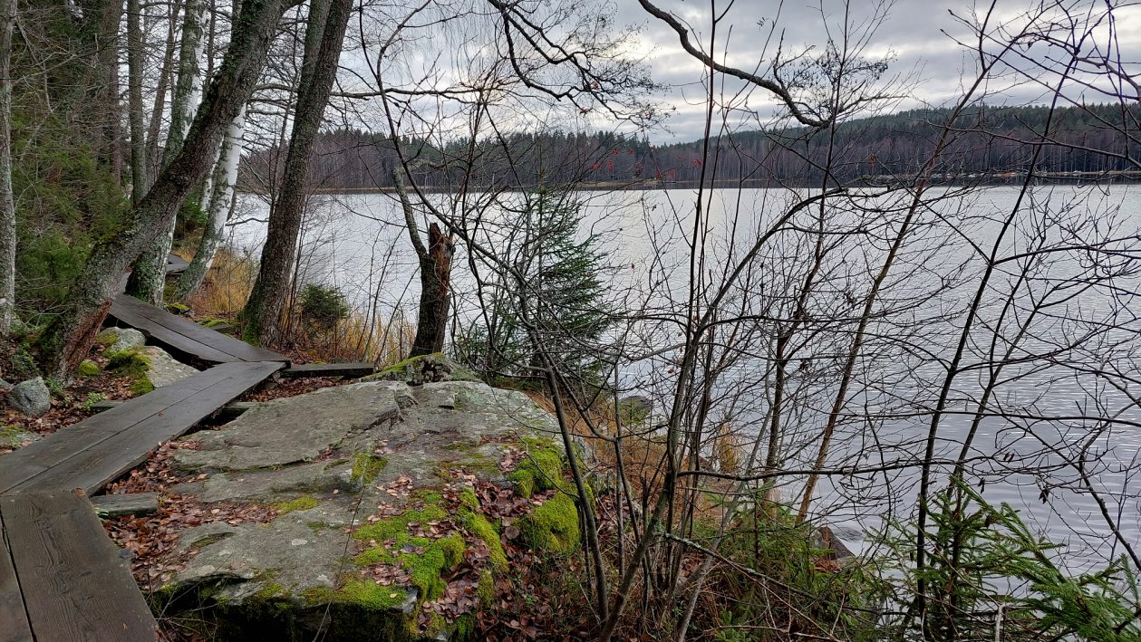 luontoyhteys hämeenlinna Minun luontoni joulukalenteri